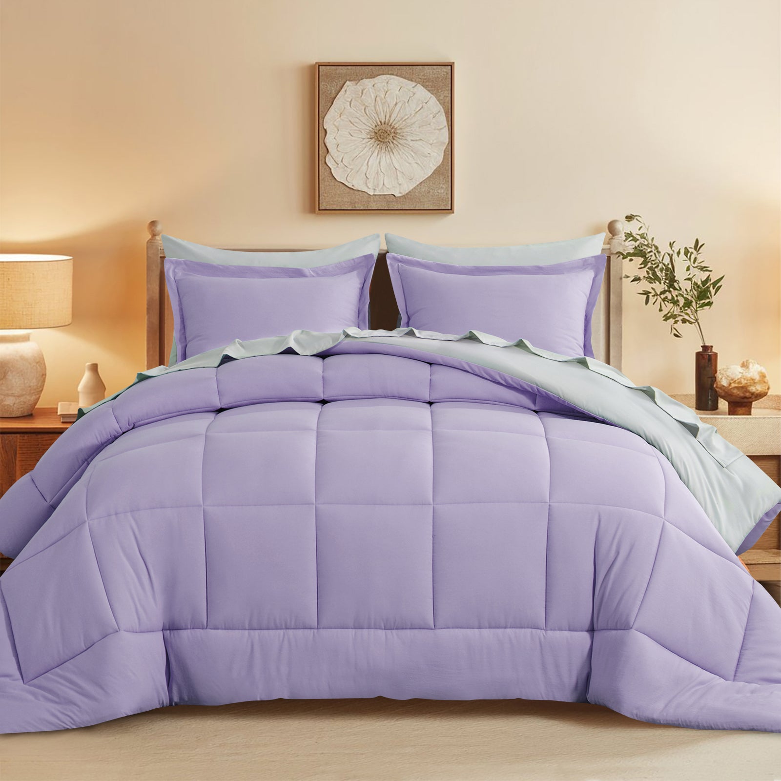 Aisbo 5 Pieces Bed Comforter Set with Sheets - Bed in a Bag with Comforter and All Season Sheets, Pillowcases
