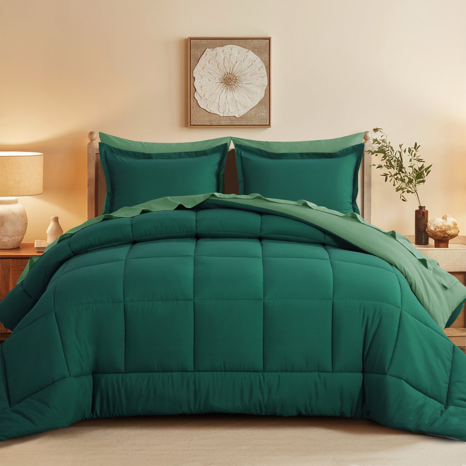 Aisbo 5 Pieces Bed Comforter Set with Sheets - Bed in a Bag with Comforter and All Season Sheets, Pillowcases