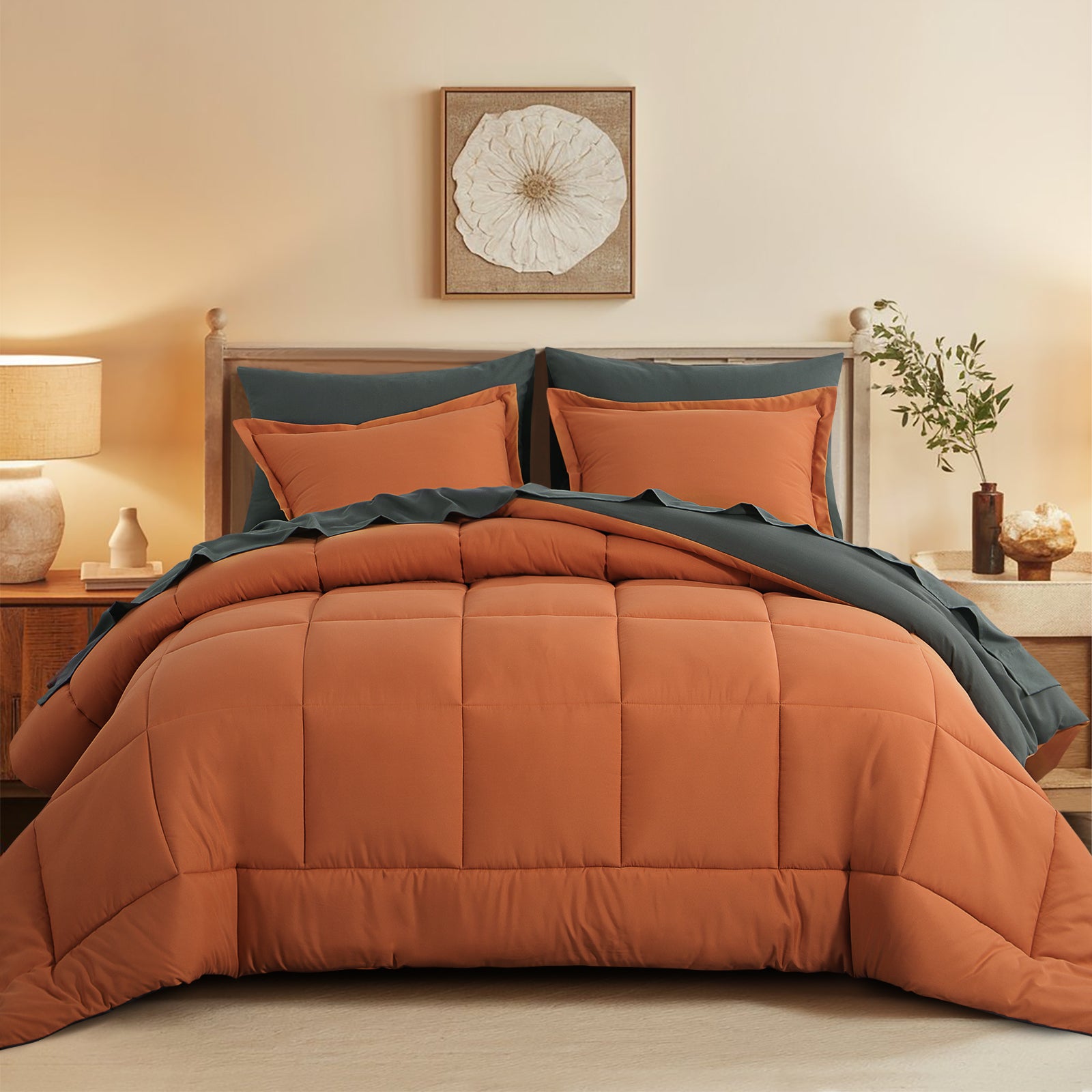 Aisbo 5 Pieces Bed Comforter Set with Sheets - Bed in a Bag with Comforter and All Season Sheets, Pillowcases